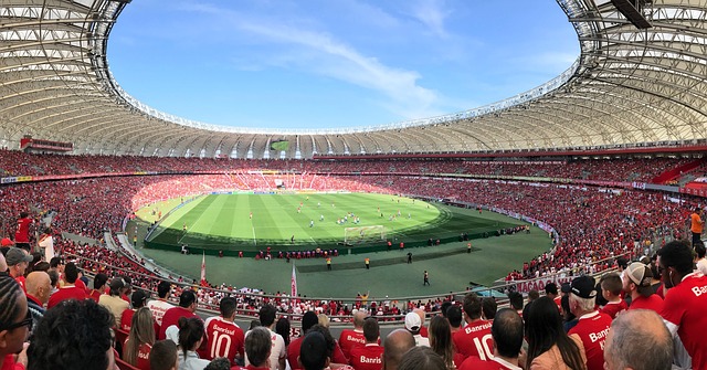 并及时将伤