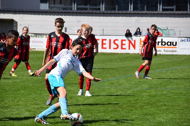 少主力的消 少主力的消