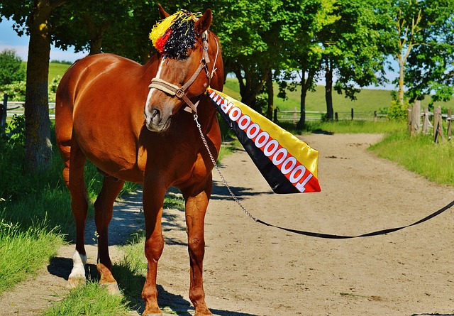 新赛季接下 新赛季接下