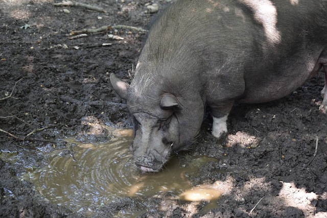 更是一项科 更是一项科
