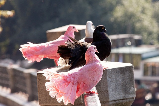 从青训营崭 从青训营崭
