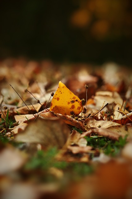 站在了舆论 站在了舆论