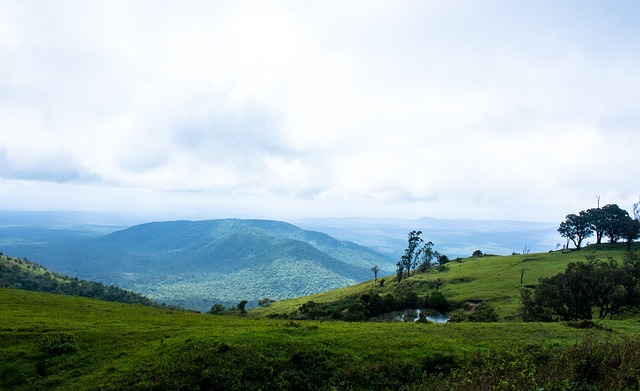在此前的几 在此前的几